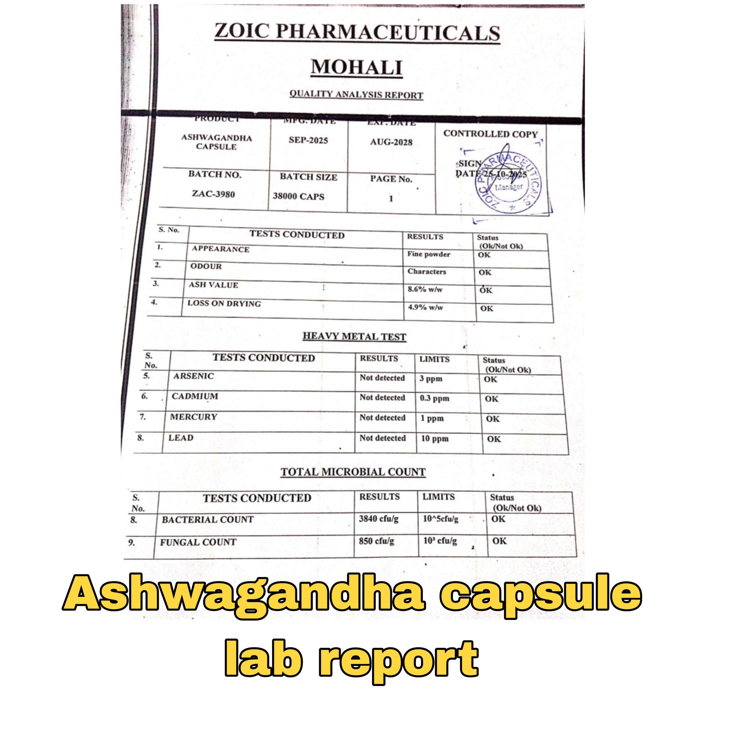 Anirudh lifescience Ashwagandha Capsule - Image 4